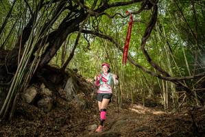 BIB: 
                            <button type="button" onclick="openModal(22178523)" class="btn btn-primary btn-sm float-right btn-popup" data-toggle="modal" data-target=".modal-high-quality">
                        <i class="fas fa-shopping-cart"></i> Add to Cart
                    </button>
                                            <button type="button" onclick="isThisMe(22178523, true)" class="btn btn-success btn-sm float-right btn-popup btn-isme hidden" data-toggle="tooltip" data-placement="bottom" title="นี่คือรูปของคุณใช่ไหม คลิกที่นี่เพื่อเอาเข้าอัลบั้ม">
                        <i class="fas fa-plus"></i> Add to album
                    </button>
                    <button type="button" onclick="isThisMe(22178523, false)" class="btn btn-warning btn-sm float-right btn-popup btn-isnotme hidden">
                        <i class="fas fa-ban"></i> Remove from album
                    </button>